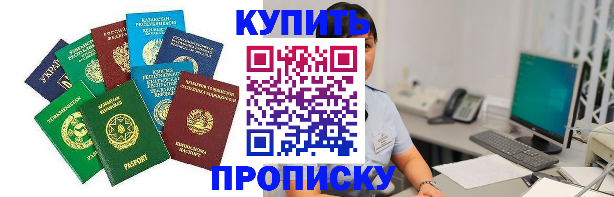 прописка в Барыше